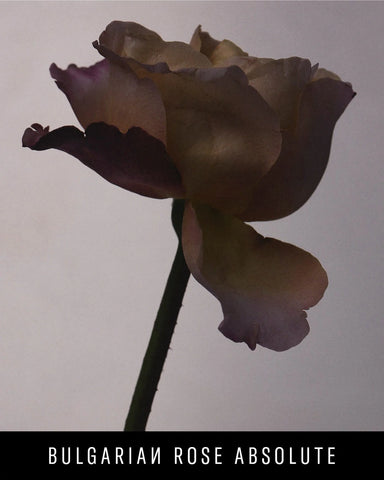 Fenty Eau De Parfum Travel Set + Refills